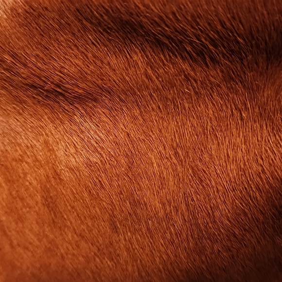 Claudia Firenze Handbag - Picture 3 of 6